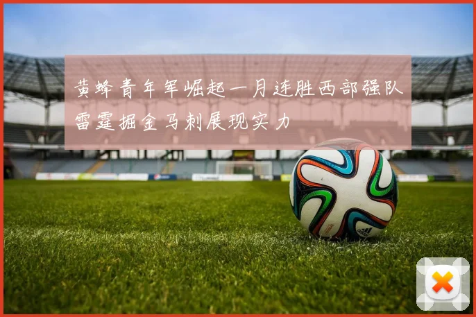 黄蜂青年军崛起一月连胜西部强队雷霆掘金马刺展现实力